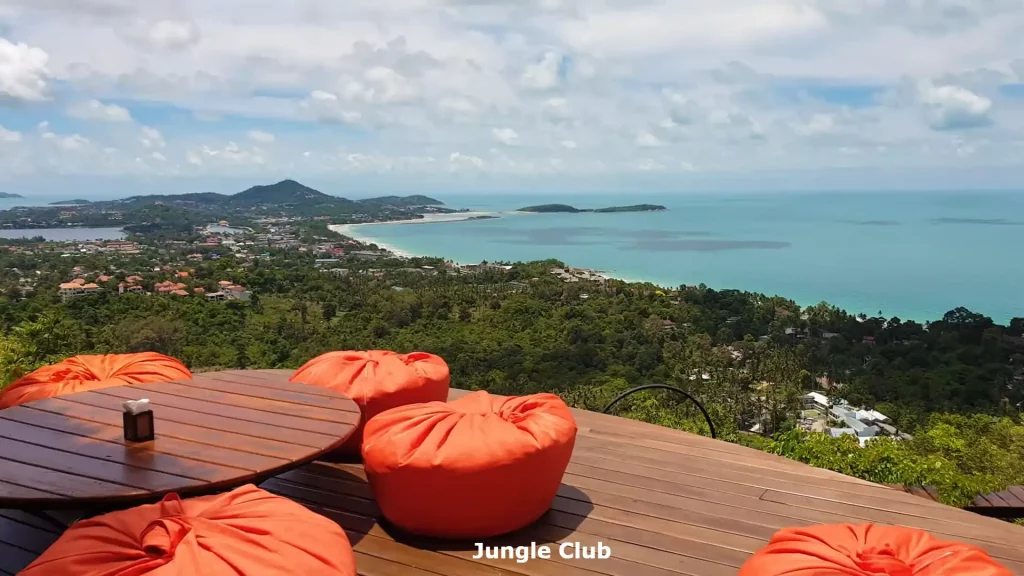 Join the Jungle Club